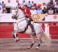 Pablo Hermoso de Mendoza